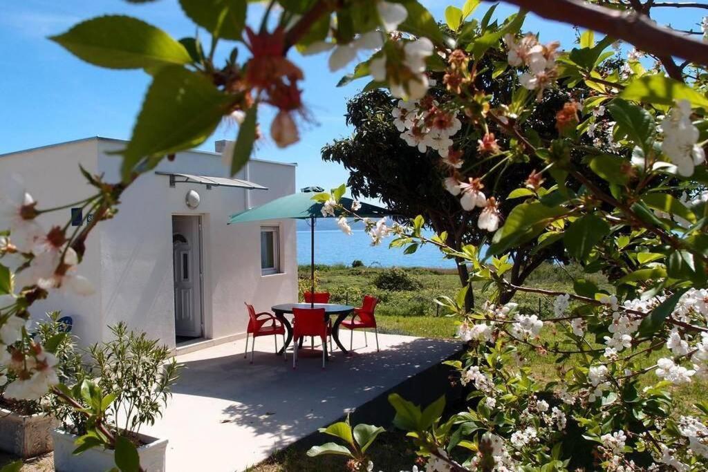 Summerhouse Calypso Split Ngoại thất bức ảnh